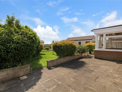 Picture 20